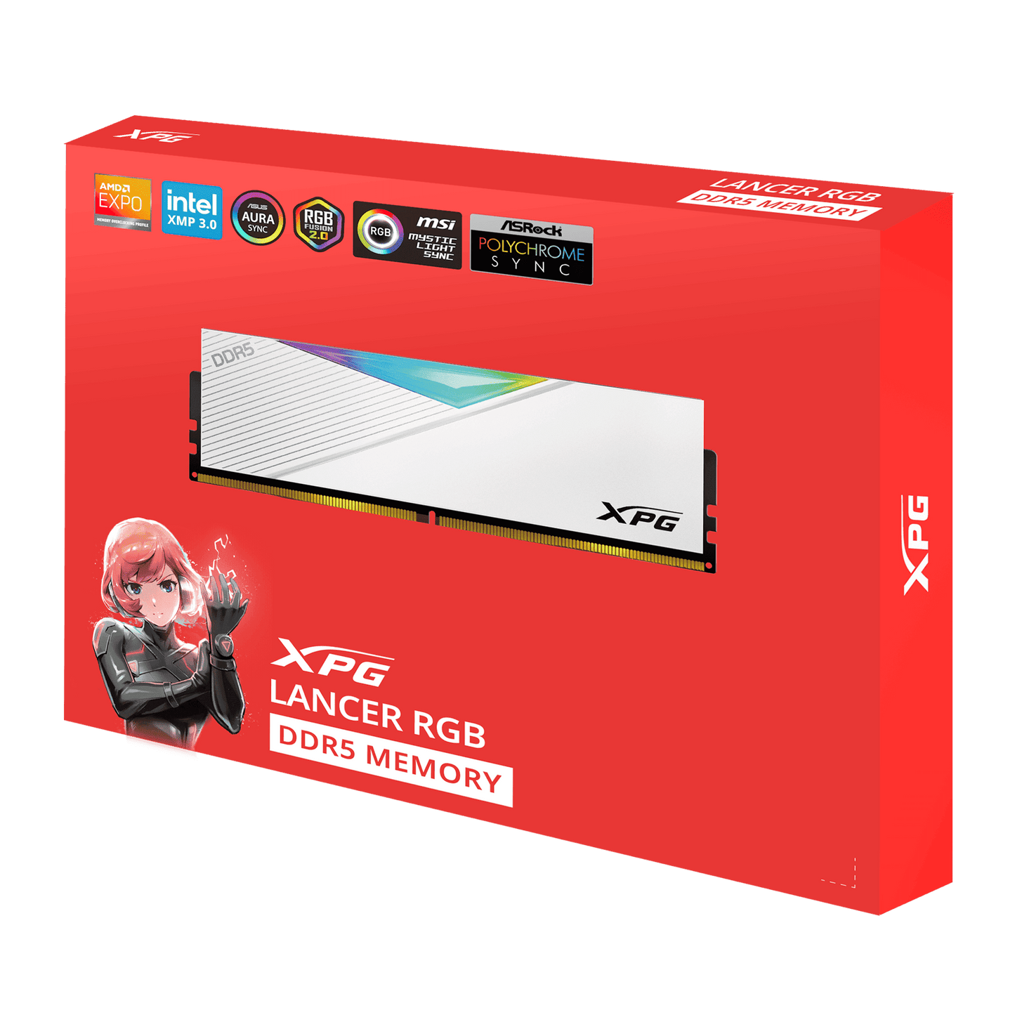XPG LANCER RGB DDR5 white dual-module package