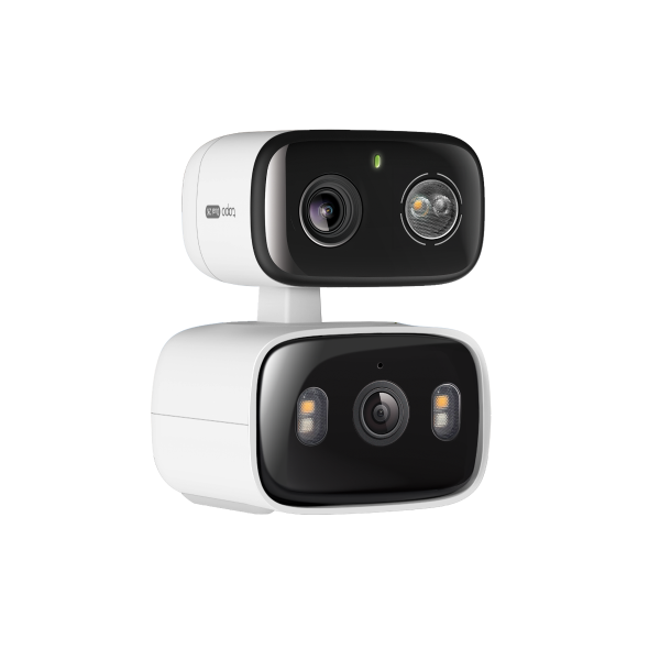 Tapo Tapo C246D official image 3